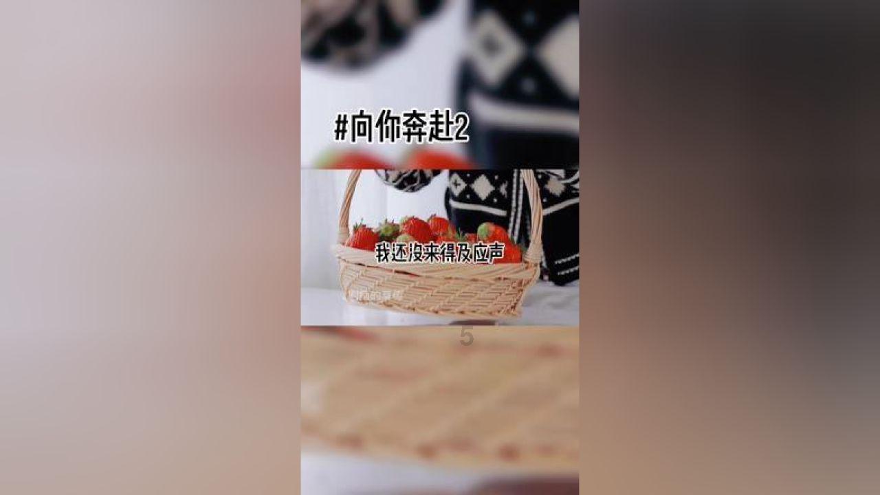 南方振兴|保护“地球之肺”助力巴西可持续发展
